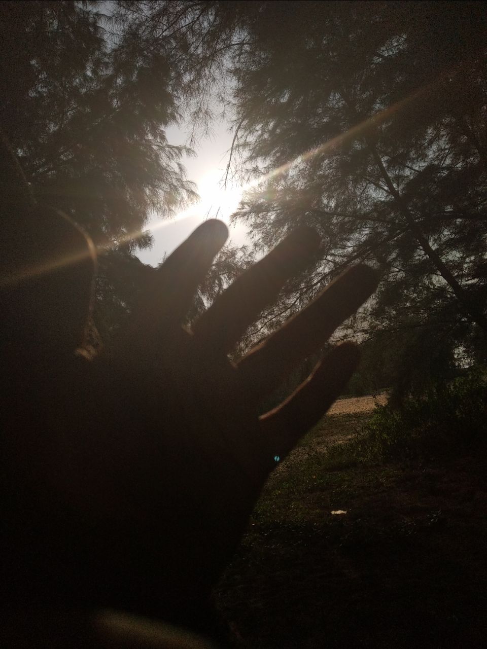 Photo of Mind soothening Evening getaway @kasargod by Vithayathil Nima