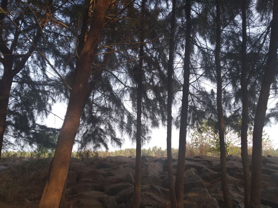 Photo of Mind soothening Evening getaway @kasargod by Vithayathil Nima