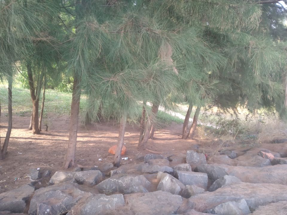 Photo of Mind soothening Evening getaway @kasargod by Vithayathil Nima