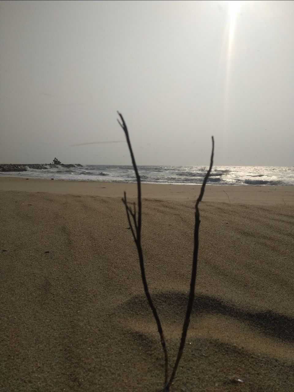 Photo of Mind soothening Evening getaway @kasargod by Vithayathil Nima