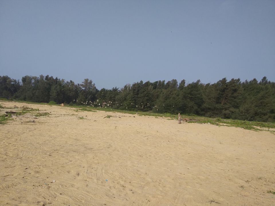 Photo of Mind soothening Evening getaway @kasargod by Vithayathil Nima