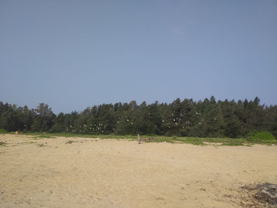 Photo of Mind soothening Evening getaway @kasargod by Vithayathil Nima