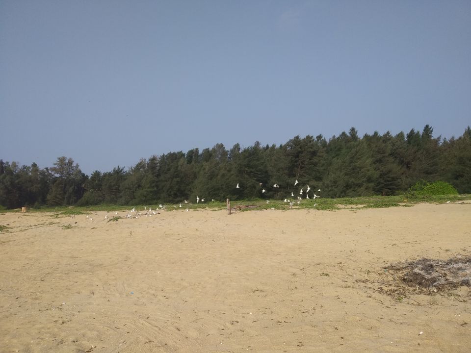 Photo of Mind soothening Evening getaway @kasargod by Vithayathil Nima