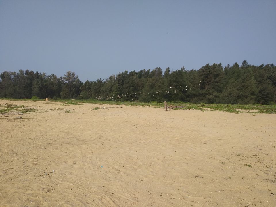 Photo of Mind soothening Evening getaway @kasargod by Vithayathil Nima