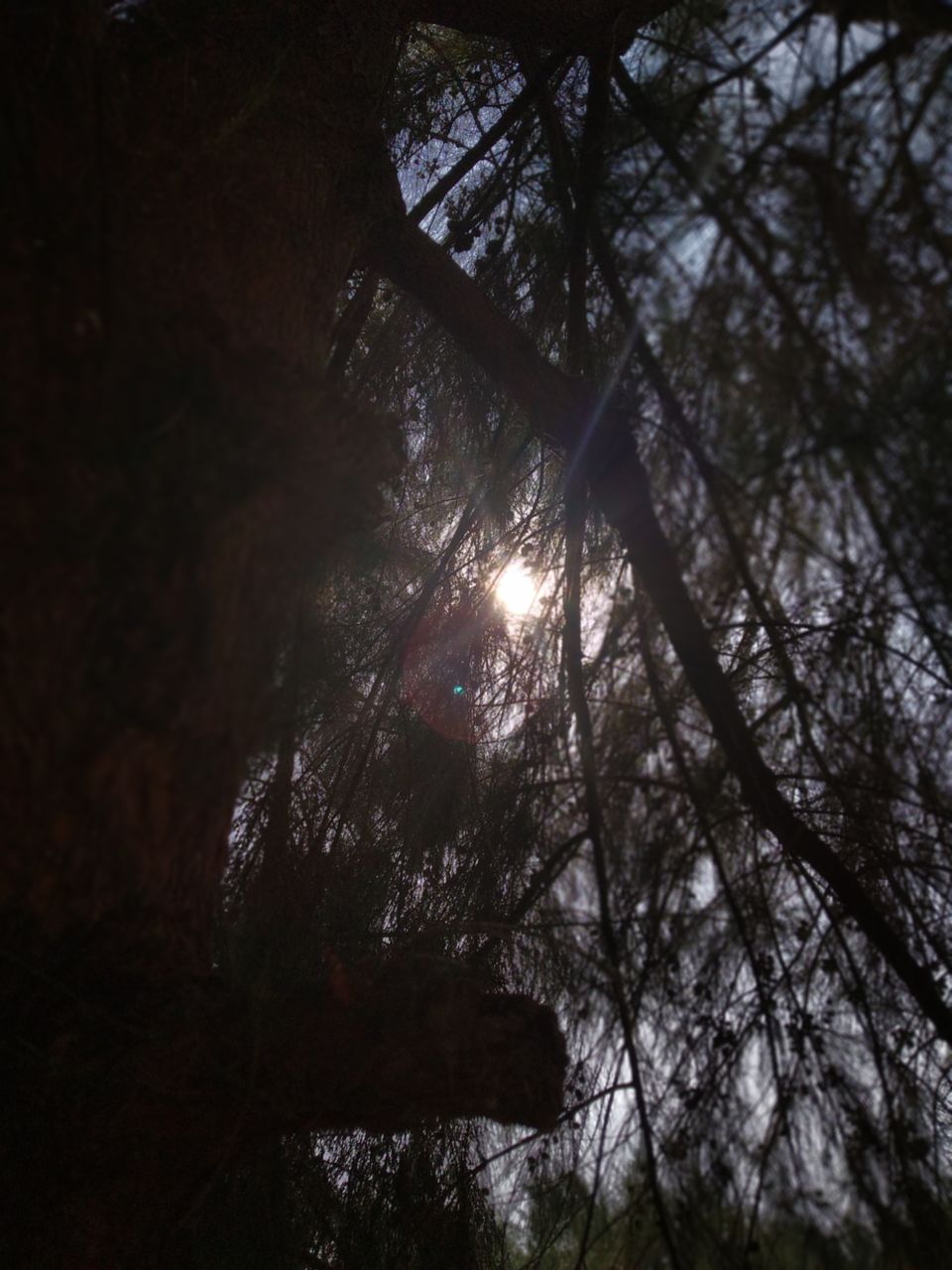 Photo of Mind soothening Evening getaway @kasargod by Vithayathil Nima
