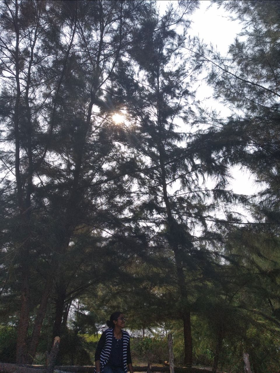 Photo of Mind soothening Evening getaway @kasargod by Vithayathil Nima