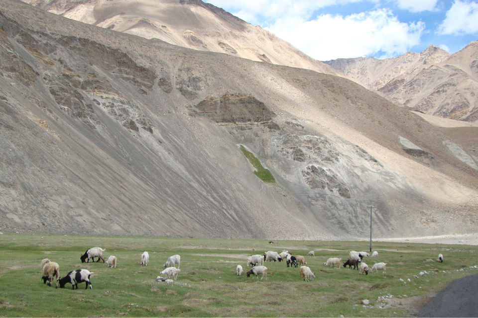 Photo of Incredible Ladakh!! by Digveejay Zala