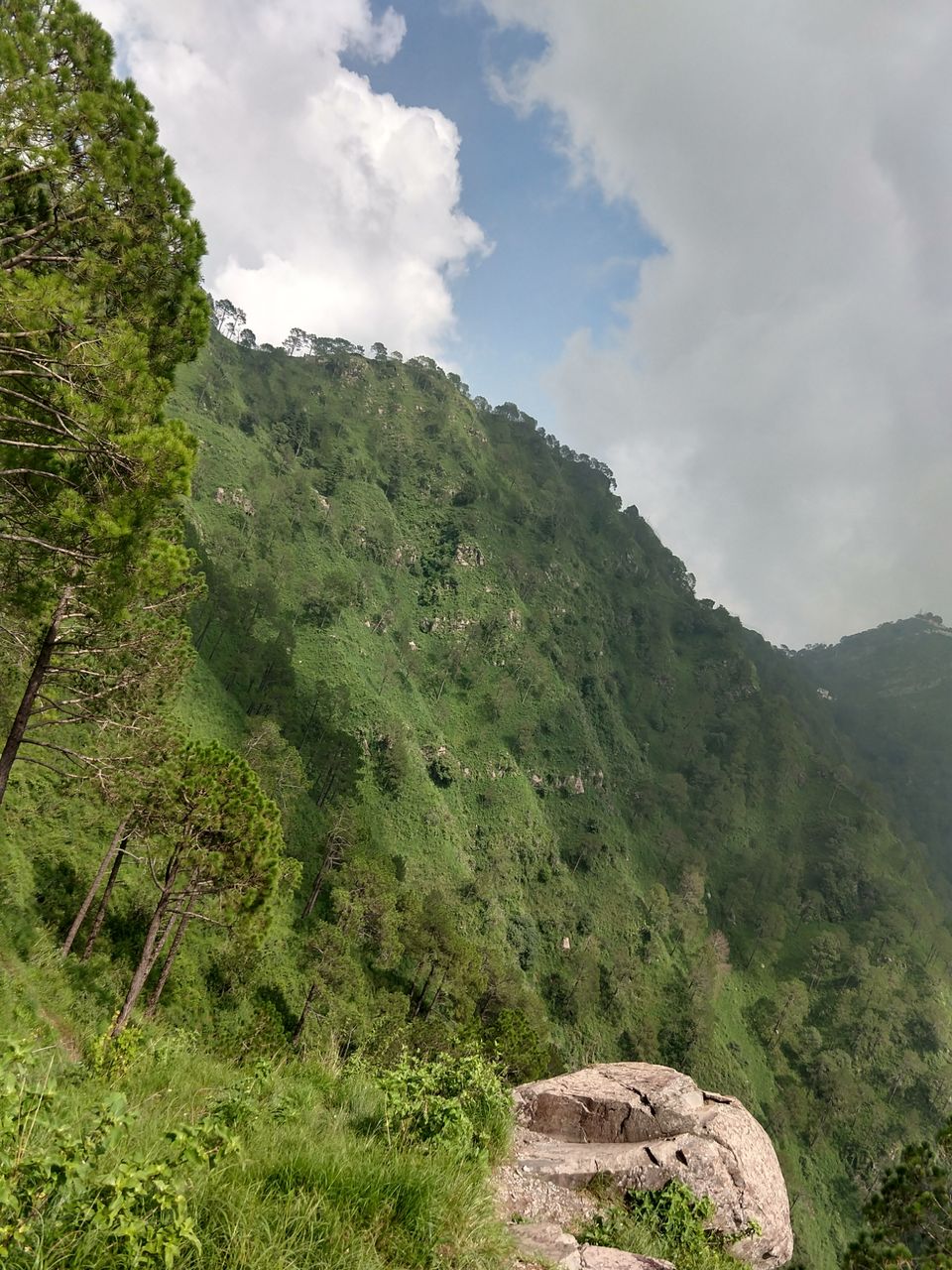 Photo of Rejuvenation Trip to Kasauli by Swati Verma
