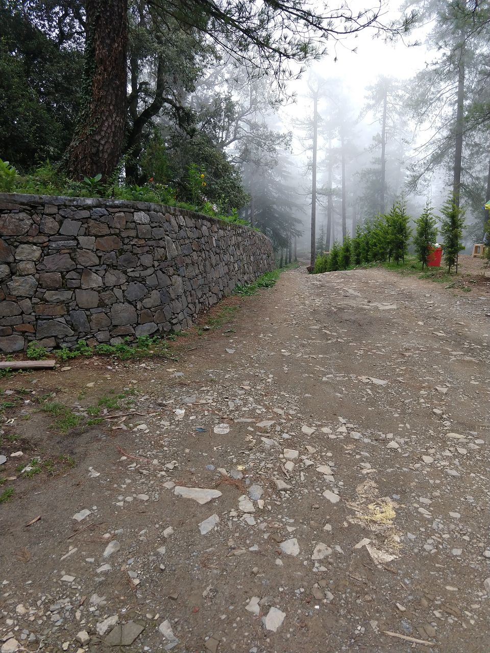 Photo of Mashobra, Himachal Pradesh, India by Swati Verma