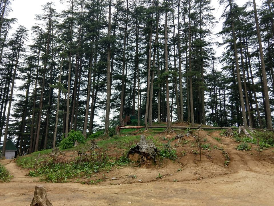 Photo of Naldehra, Himachal Pradesh, India by Swati Verma
