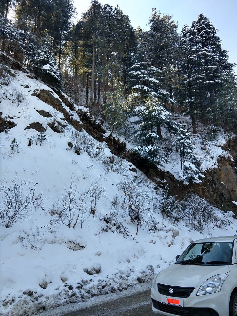 Photo of Aamod at Shoghi (Shimla), Shalaghat, Himachal Pradesh, India by Swati Verma
