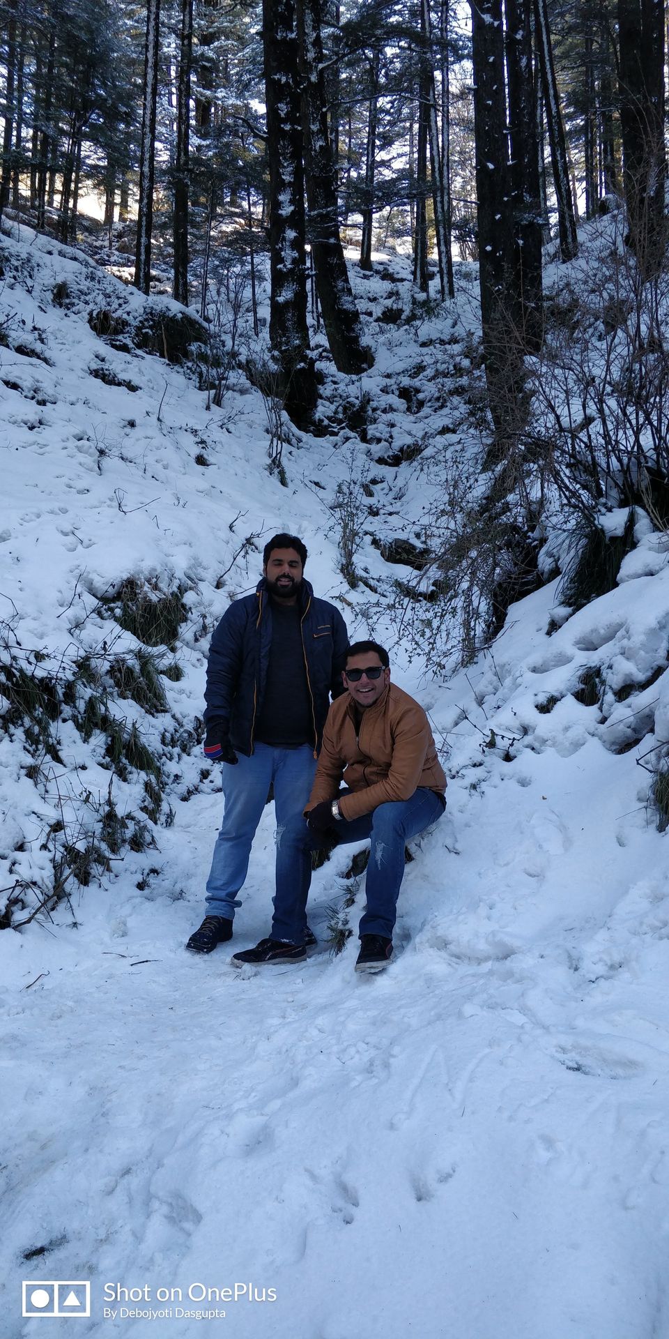 Photo of Aamod at Shoghi (Shimla), Shalaghat, Himachal Pradesh, India by Swati Verma