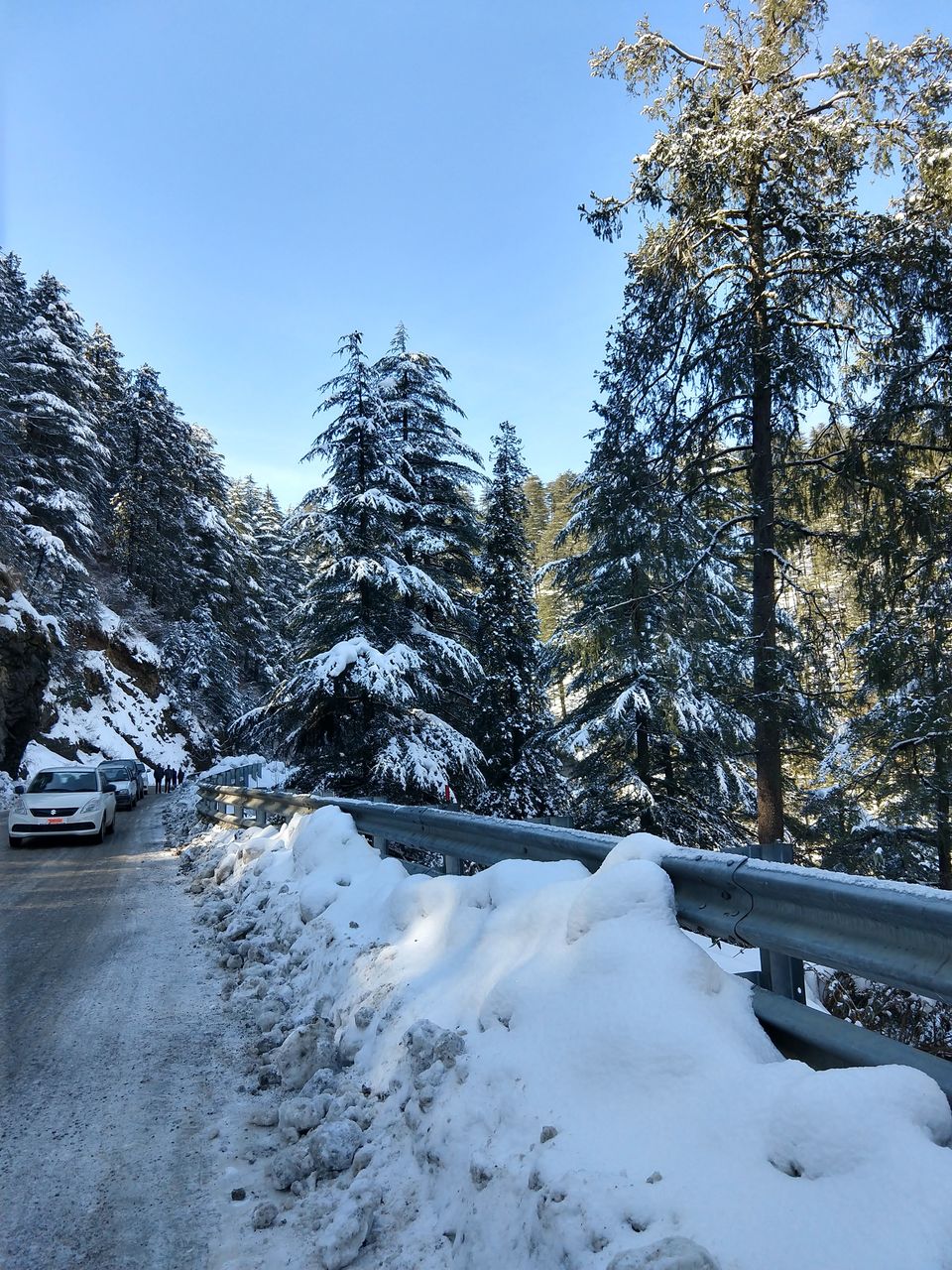 Photo of Aamod at Shoghi (Shimla), Shalaghat, Himachal Pradesh, India by Swati Verma