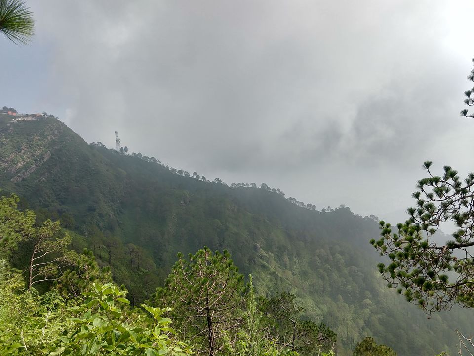 Photo of Gilbert Nature Trail, Kasauli, Himachal Pradesh, India by Swati Verma