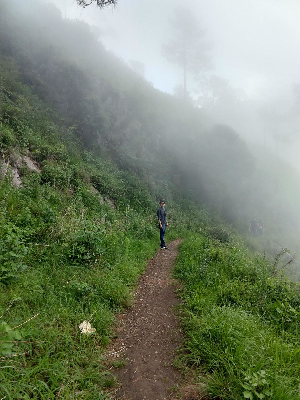 Photo of Gilbert Nature Trail, Kasauli, Himachal Pradesh, India by Swati Verma