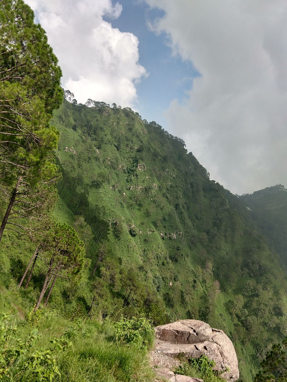 Photo of Gilbert Nature Trail, Kasauli, Himachal Pradesh, India by Swati Verma