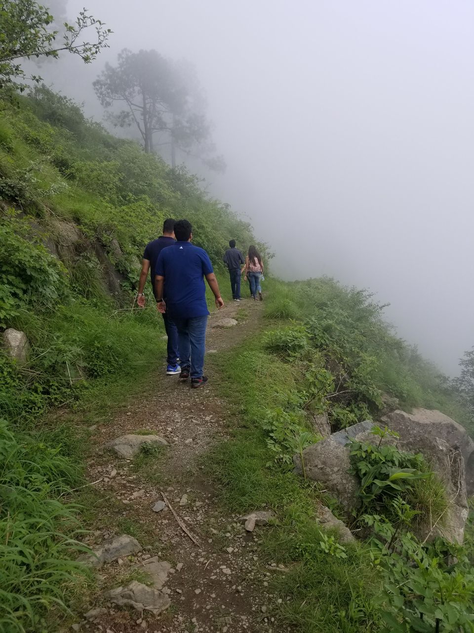 Photo of Gilbert Nature Trail, Kasauli, Himachal Pradesh, India by Swati Verma