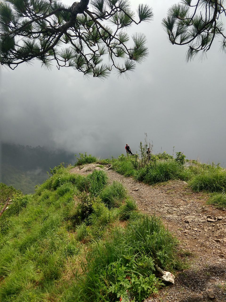 Photo of Gilbert Nature Trail, Kasauli, Himachal Pradesh, India by Swati Verma