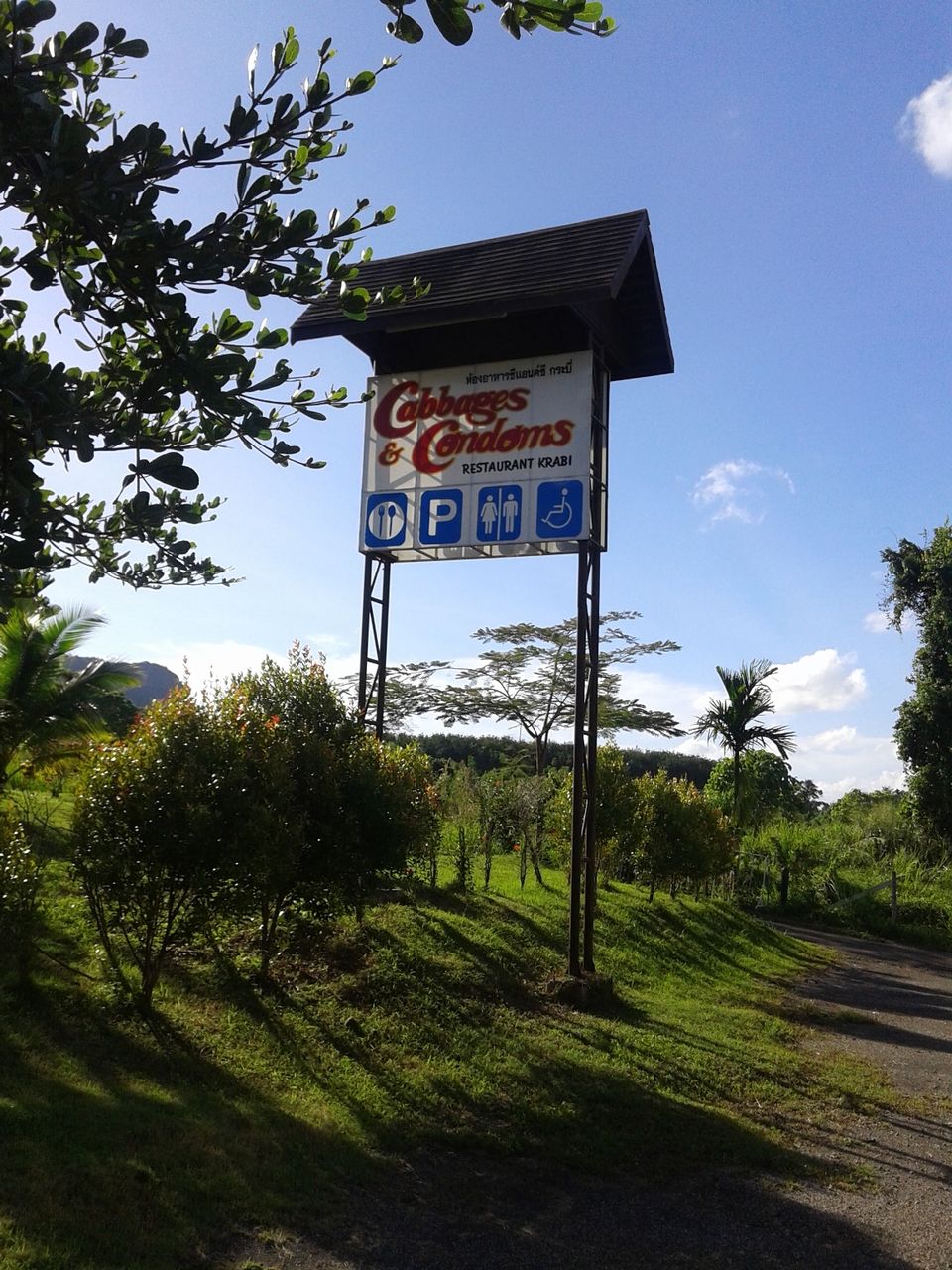 Photo of My Thai Road Trip - Happiness, Cabbages and Condoms 2/12 by Tushar Agarwal
