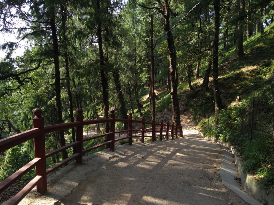 Photo of Jakhu Hill, Jakhu, Shimla, Himachal Pradesh by Maitreya