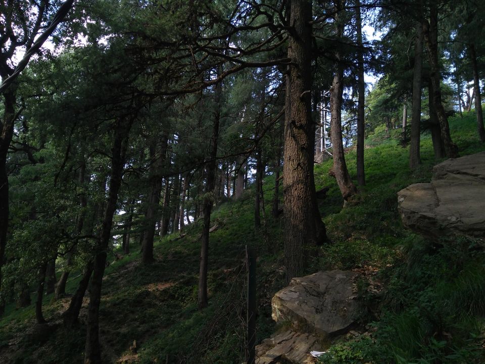 Photo of Jakhu Hill, Jakhu, Shimla, Himachal Pradesh by Maitreya