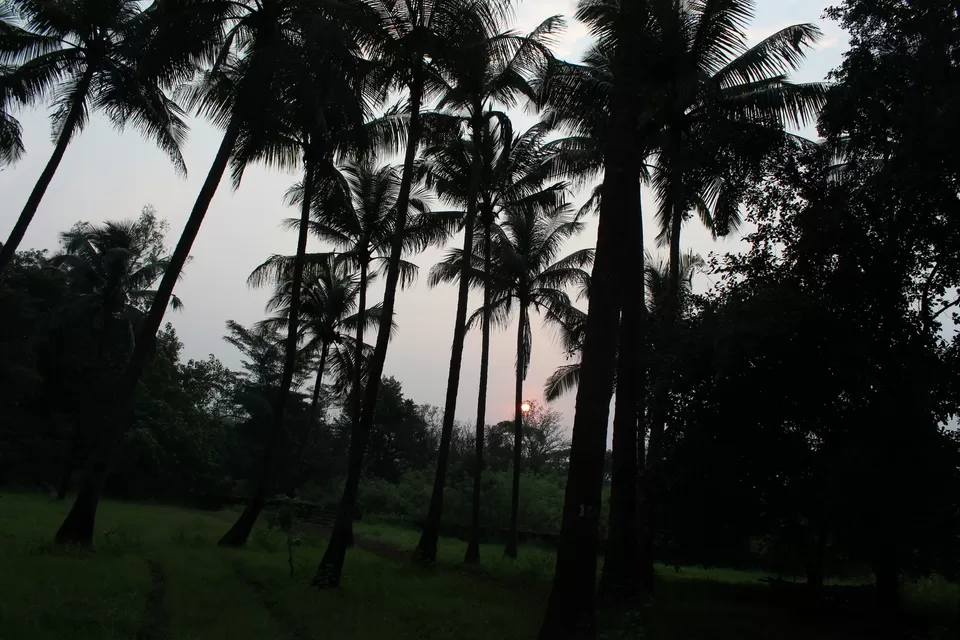 Photo of Kolad, Maharashtra, India by vishakha ghatge