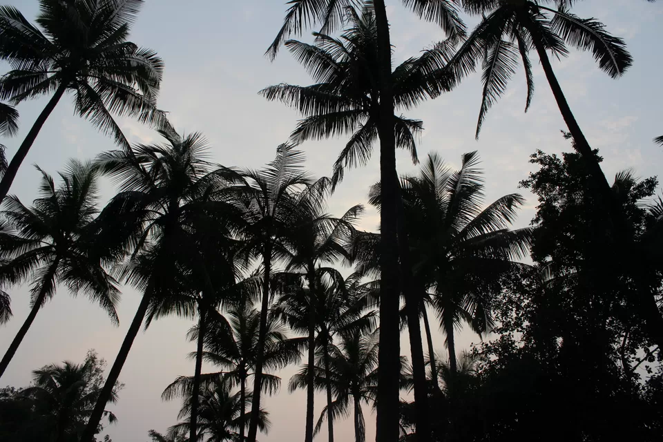 Photo of Kolad, Maharashtra, India by vishakha ghatge