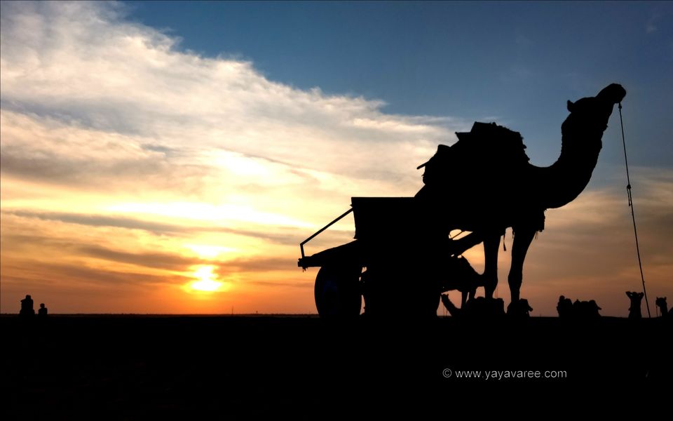 Photo of Jodhpur-Jaisalmer: An unforgettable Raod Trip by Saurabh Arya