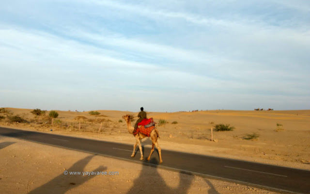 Photo of Jodhpur-Jaisalmer: An unforgettable Raod Trip 6/7 by Saurabh Arya