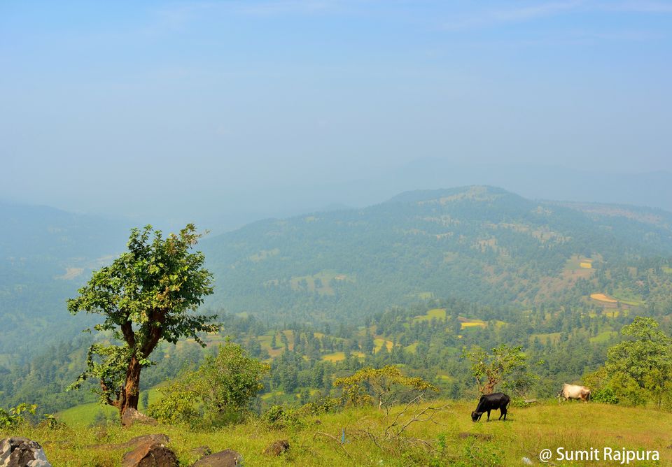 Photo of Wilson Hills (Hill Station), Gujarat by Sumit Rajpura