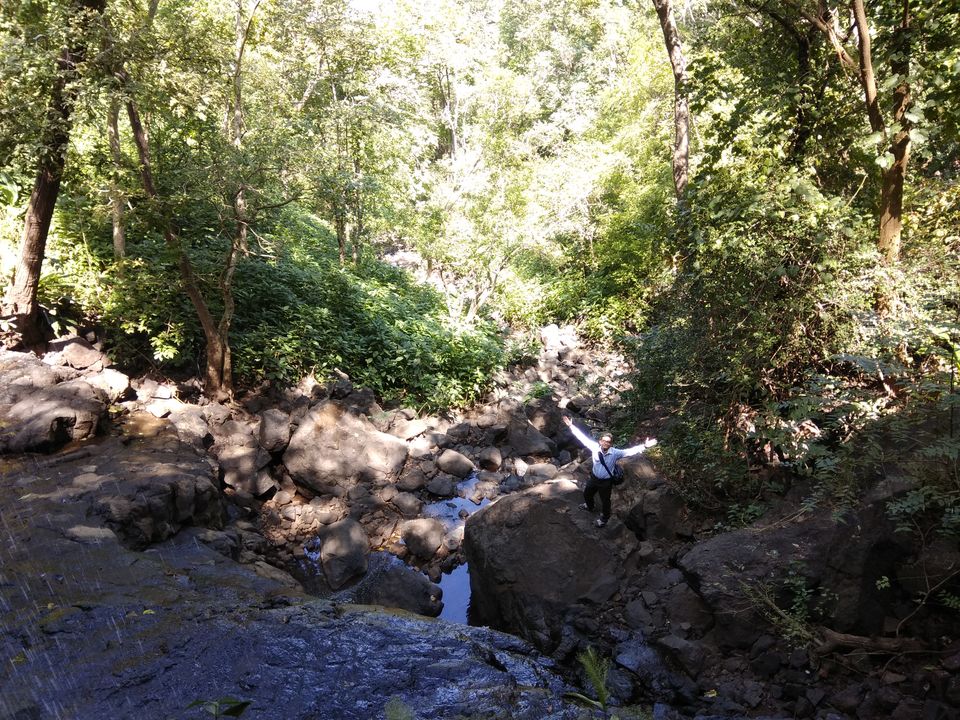 Photo of 5 Days in Dang Forest of Gujarat ! by Sumit Rajpura
