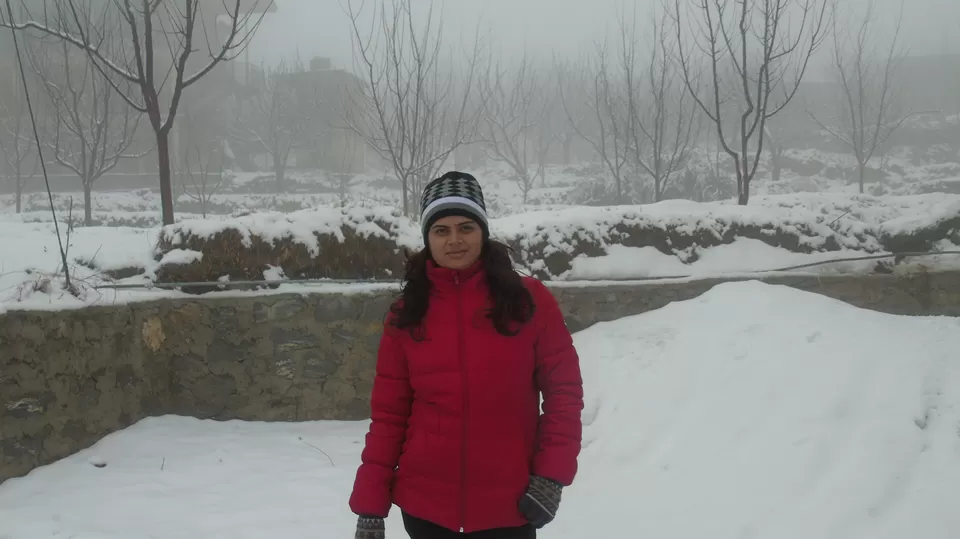 Photo of OYO 7008 Astha Cottage, Prini, Manali, Himachal Pradesh, India by Ramya Shanivarsanthe Leelesh