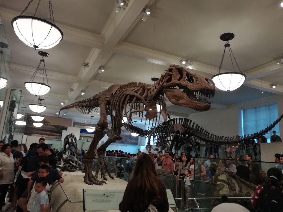 Photo of American Museum of Natural History, New York, NY, USA by Ramya Shanivarsanthe Leelesh
