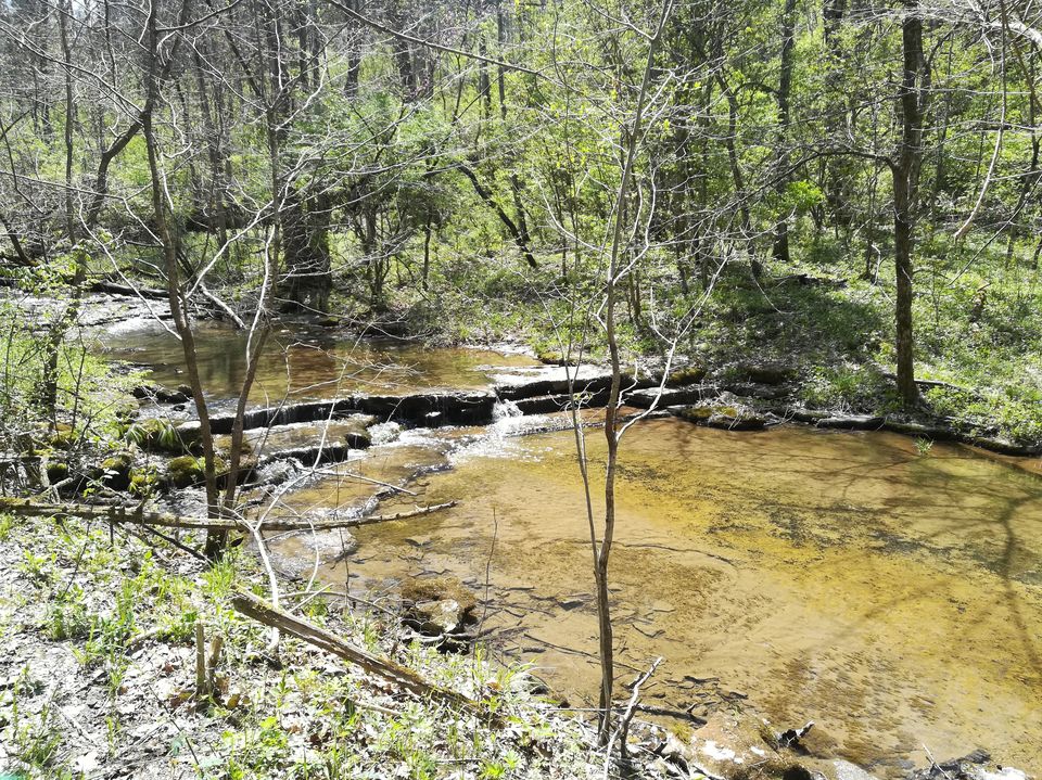 Photo of Raven Run Nature Sanctuary, Raven Run Way, Lexington, KY, USA by Ramya Shanivarsanthe Leelesh