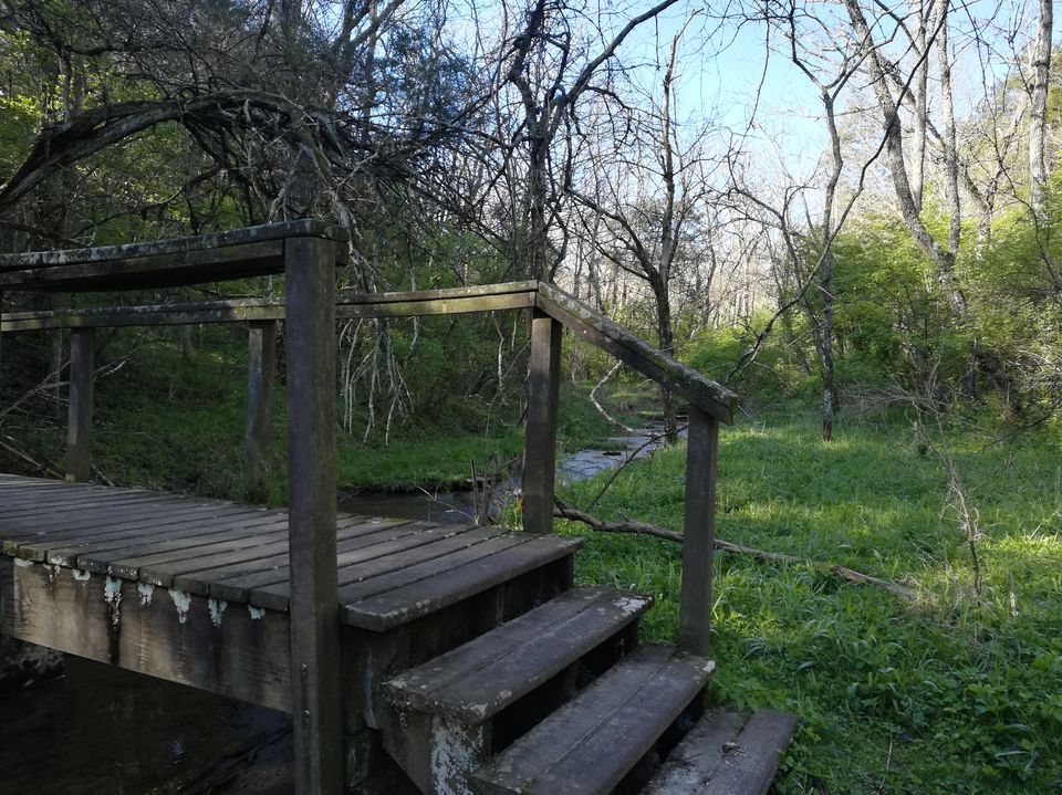 Photo of Raven Run Nature Sanctuary, Raven Run Way, Lexington, KY, USA by Ramya Shanivarsanthe Leelesh