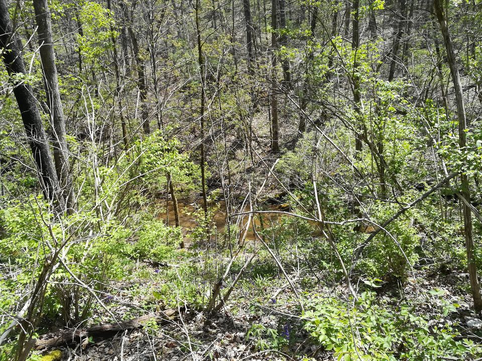 Photo of Raven Run Nature Sanctuary, Raven Run Way, Lexington, KY, USA by Ramya Shanivarsanthe Leelesh