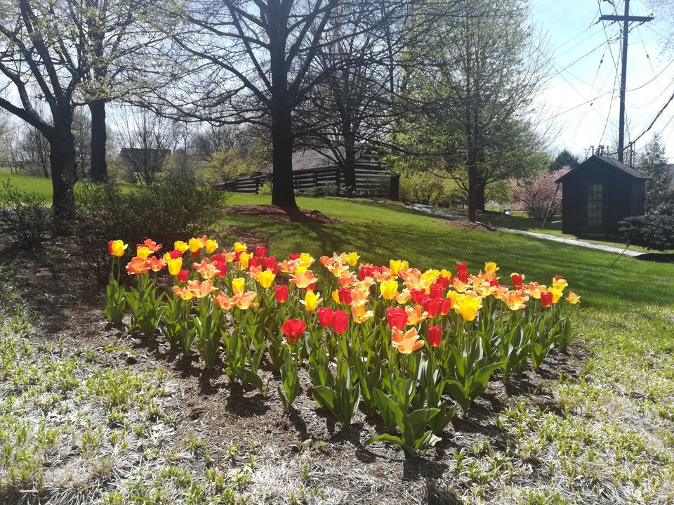Photo of University of Kentucky Art Museum, Rose Street, Lexington, KY, USA by Ramya Shanivarsanthe Leelesh