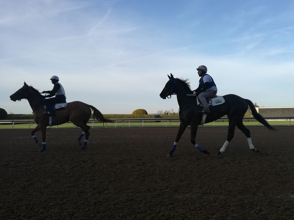 Photo of Incredible journey to the horse capital of the World-Lexington! #notonTripoto 1/1 by Ramya Shanivarsanthe Leelesh