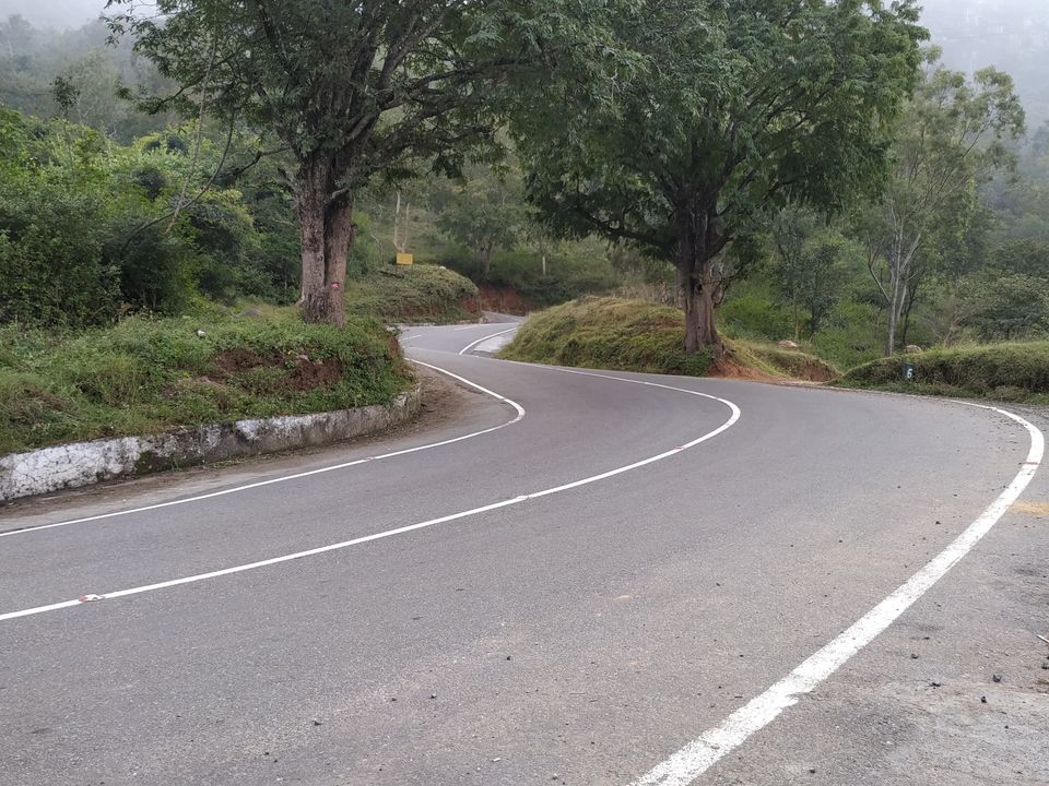 Photo of A glimpse of green beauty #westernghatsinphotos by Gautam Singh
