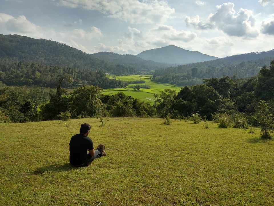 Photo of A glimpse of green beauty #westernghatsinphotos by Gautam Singh