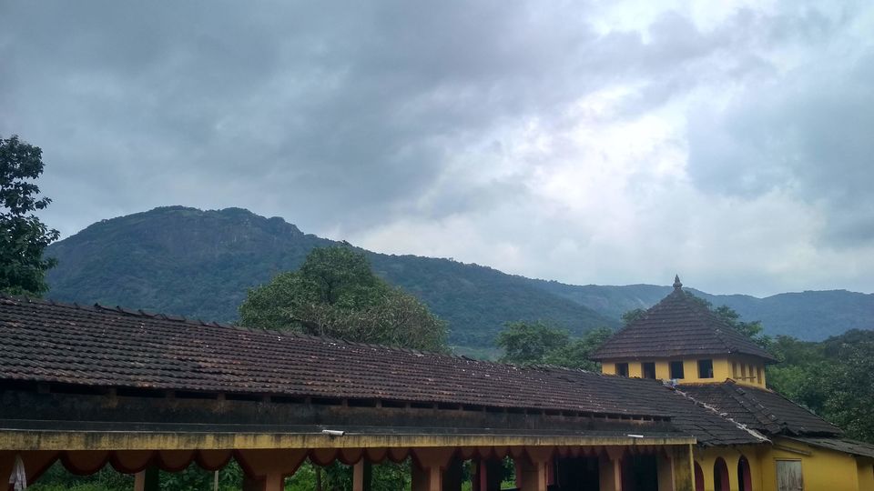 Photo of A glimpse of green beauty #westernghatsinphotos by Gautam Singh