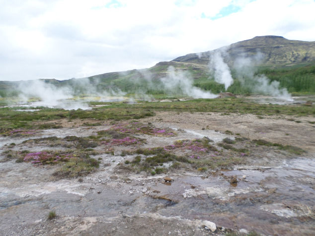 Photo of Geysir, South, Iceland by Mandy Cheong