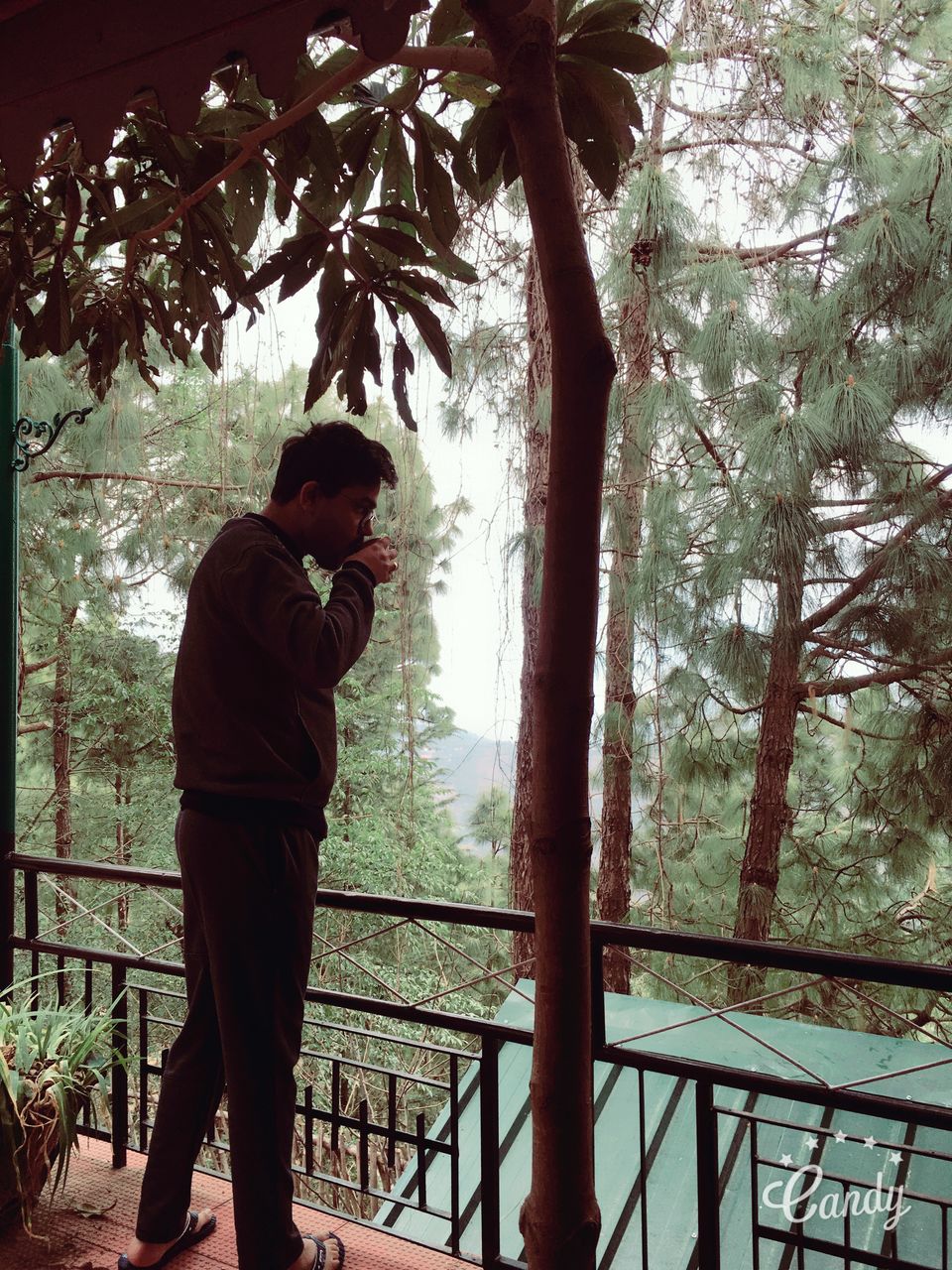 Photo of Mahal Farms Country Home, Kasauli, Himachal Pradesh, India by Ritika Verma