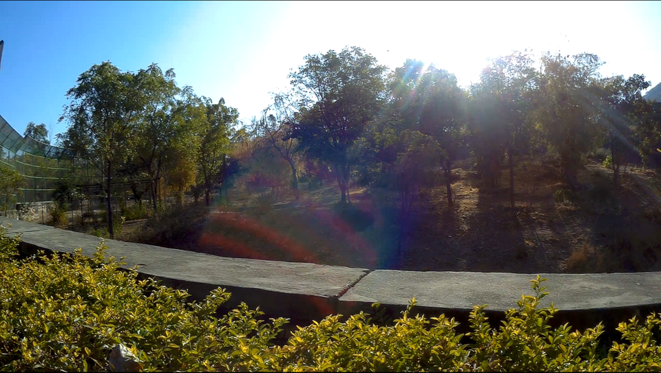 Photo of SajjanGarh Biological Park, Fateh Sagar Road, Main Gate, Malla Talai, Udaipur, Rajasthan, India by WanderLayan