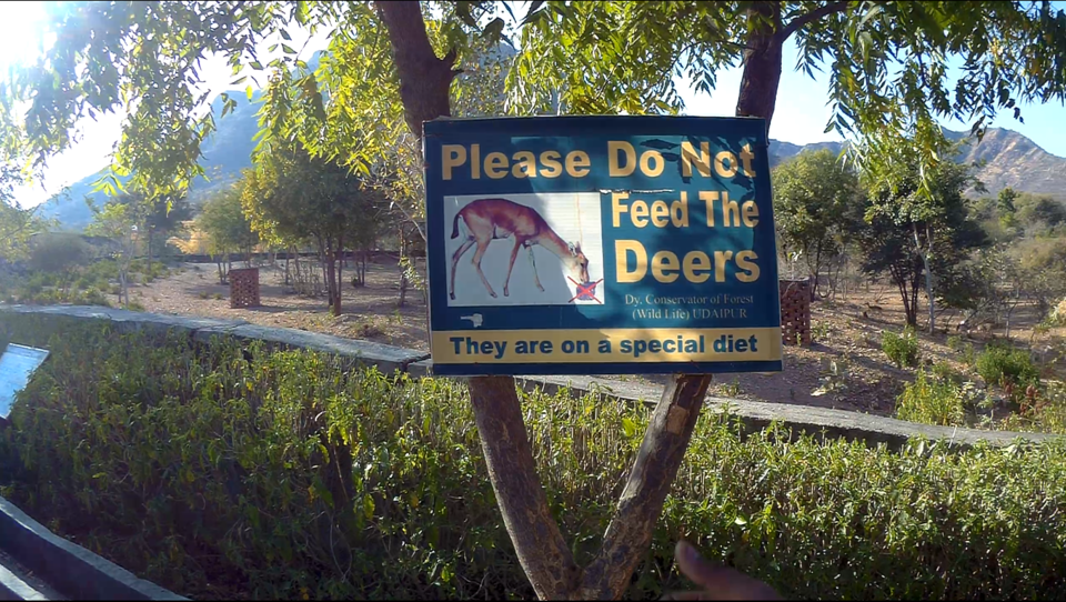 Photo of SajjanGarh Biological Park, Fateh Sagar Road, Main Gate, Malla Talai, Udaipur, Rajasthan, India by WanderLayan