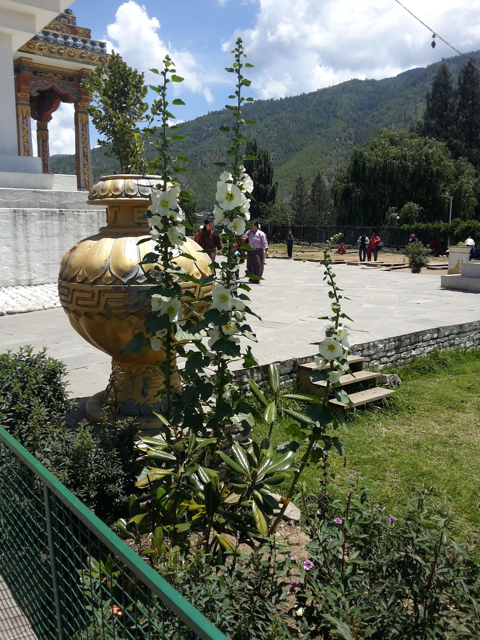 Photo of Kuzozangpola Bhutan!: 5 days Solo in the Land of the Thunder Dragon 7/46 by Ryokõ-shä