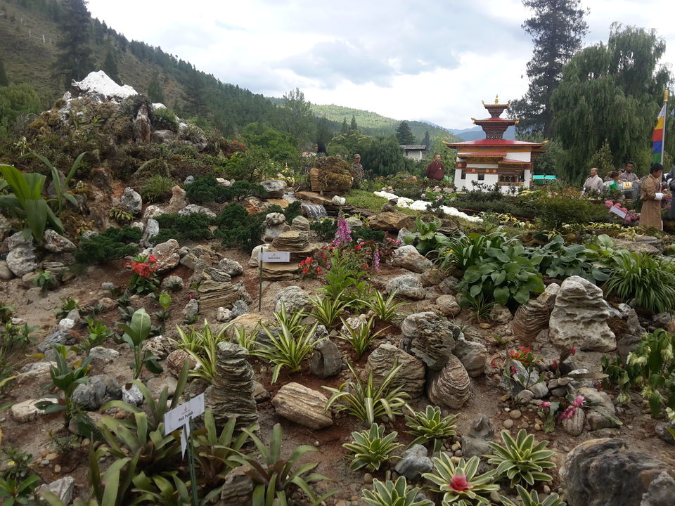 Photo of Kuzozangpola Bhutan!: 5 days Solo in the Land of the Thunder Dragon 34/46 by Ryokõ-shä