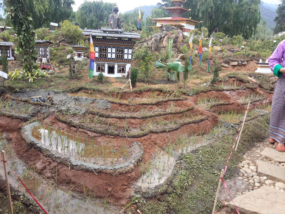 Photo of Kuzozangpola Bhutan!: 5 days Solo in the Land of the Thunder Dragon 35/46 by Ryokõ-shä