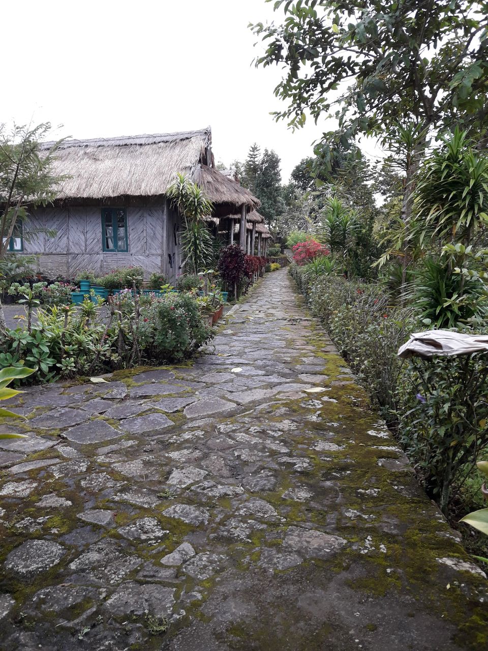 Photo of Nagaland - unexplored paradise! by Ryokõ-shä