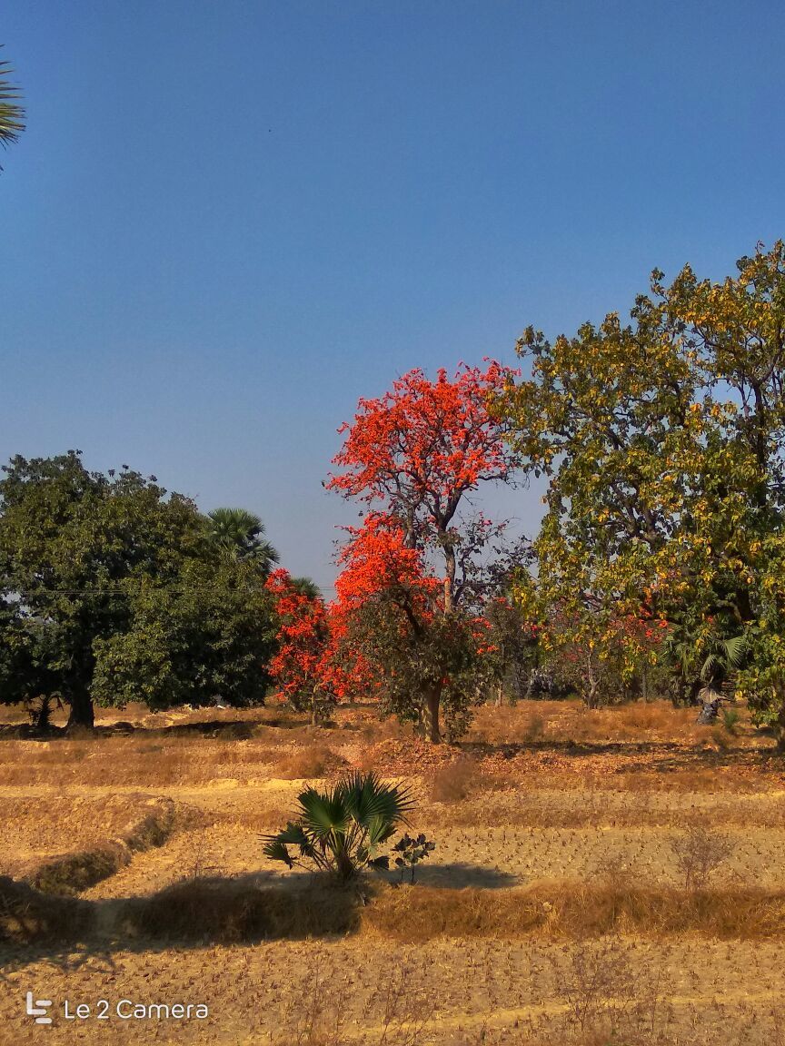 Photo of Susunia a Hidden Gem in West Bengal 3/3 by Ryokõ-shä